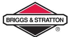 Briggs logo